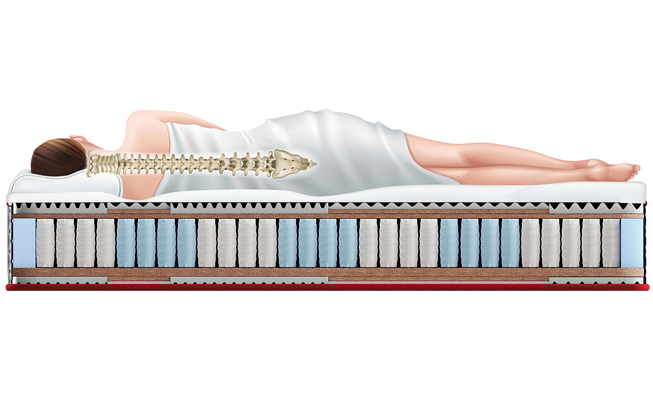 Sportletica Expert Fit-massage фото 2